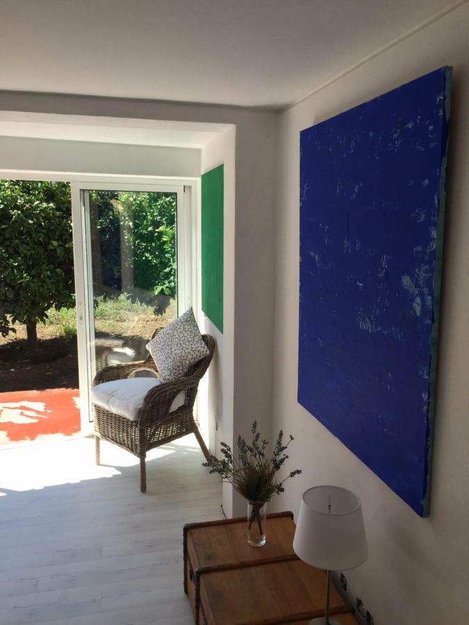 Casa Dos Limoeiros Βίλα Santiago do Cacém Εξωτερικό φωτογραφία